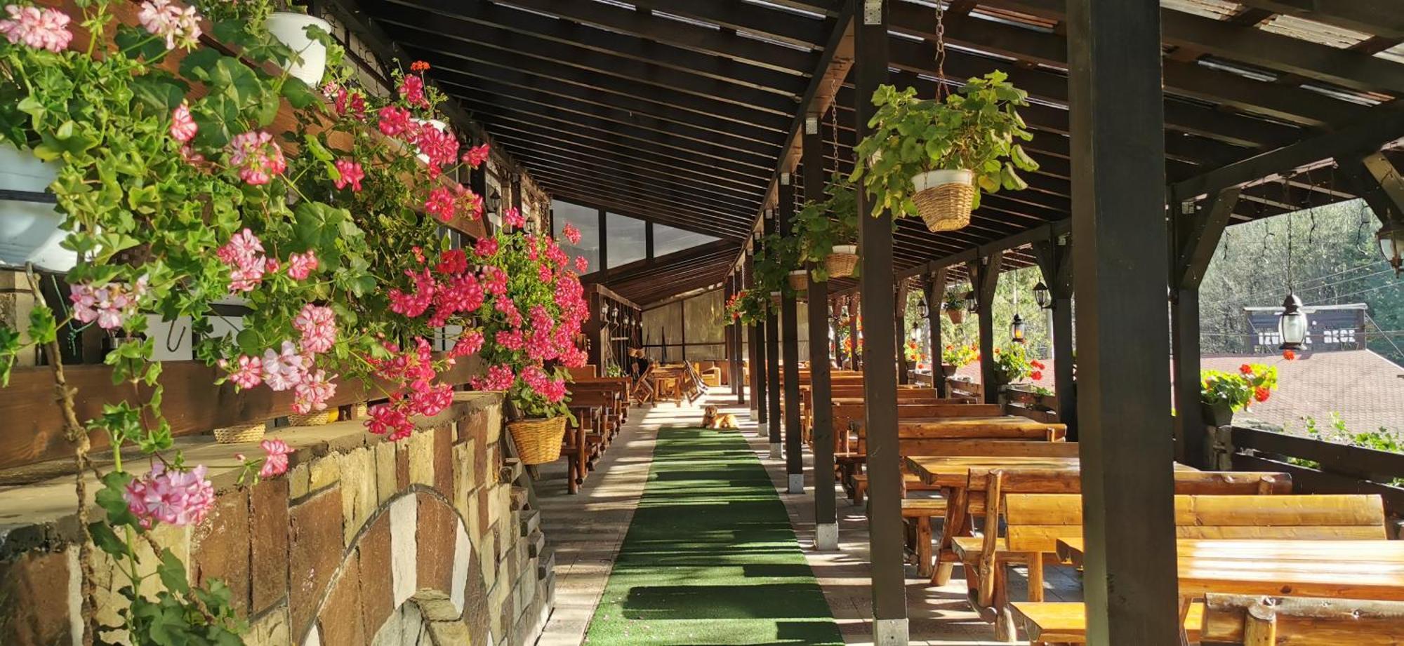 Hanul Izvorul Rece Σινάια Εξωτερικό φωτογραφία